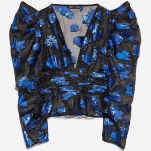 Zara Metallic Puffy Sleeve Sheer top